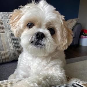 Meet your Posher, Mallory